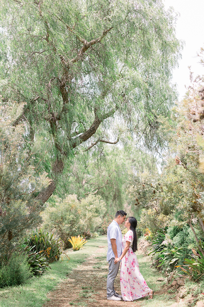 Couple holding hands and sneaking Eskimo kisses under big weeping tree in botanical gardens - Maui Hawaii Engagement-Kula Botanical Gardens Engagement - Ali'i Kula Lavendar Farm Engagement | Maui Hawaii and Destination, Engagement, Elopement and Wedding Photographer Monica Roberts Photography | www.monicaroberts.com