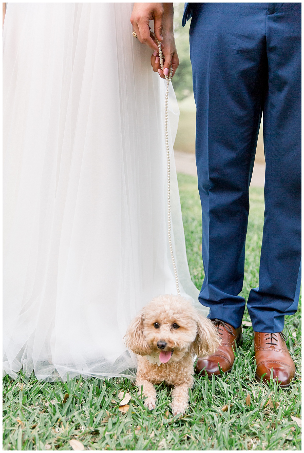 Dog sitting at bride and groom's feet at Hyatt Regency Hill Country Resort Wedding in San Antonio, TX | San Antonio Wedding photographer| Destination Wedding Photographer| Monica Roberts Photography | monicaroberts.com