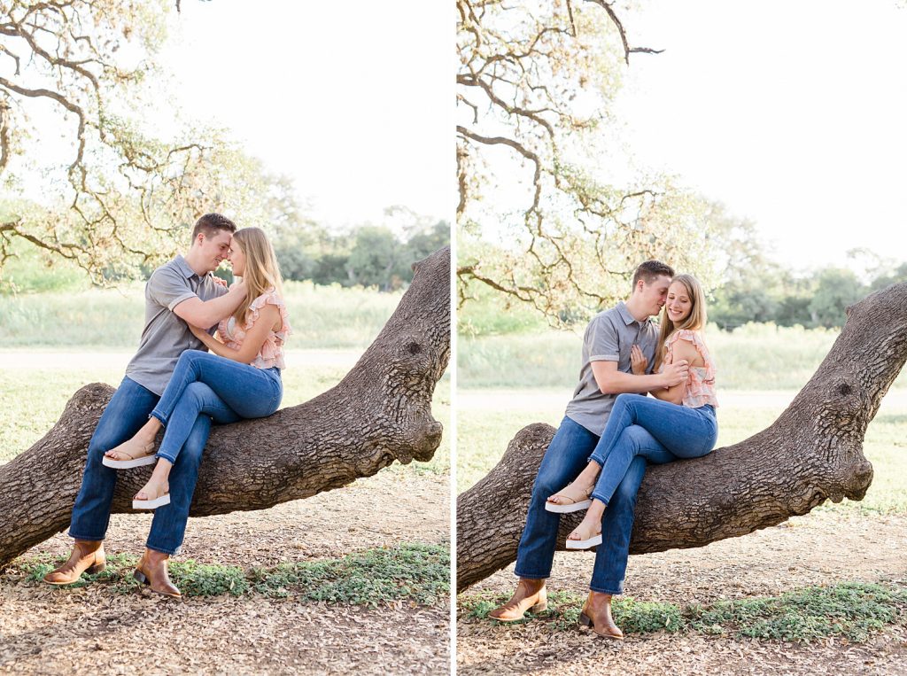 engaged couple snuggles on a tree in Downtown San Antonio for their engagement session with Monica Roberts Photography https://monicaroberts.com