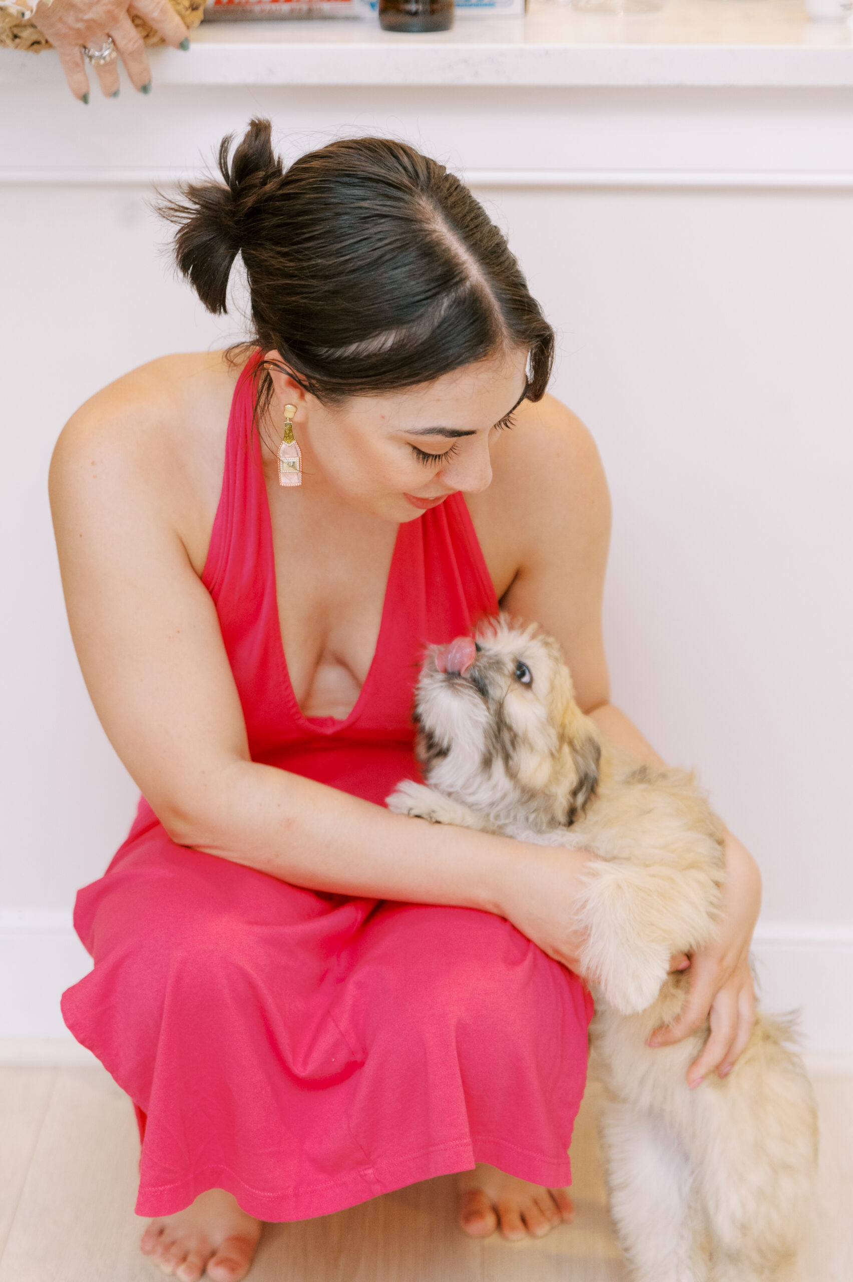 Cherish Your Furry Friends: February Mini Sessions for Pet Parents - February Mini Sessions for Pet Parents in Northern Virginia