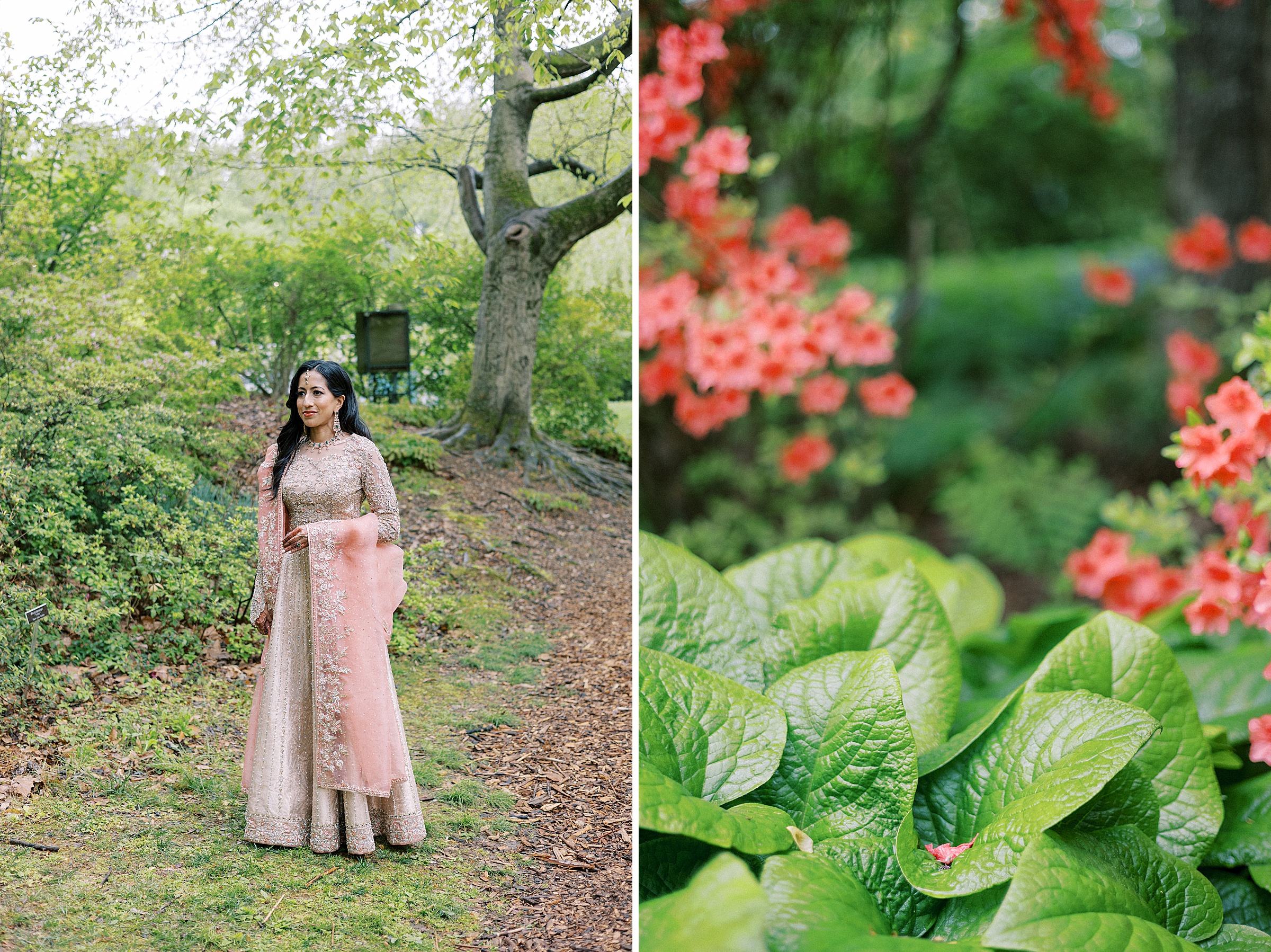 A Vibrant Spring Wedding: Photography at Brookside Gardens and Hilton Rockville